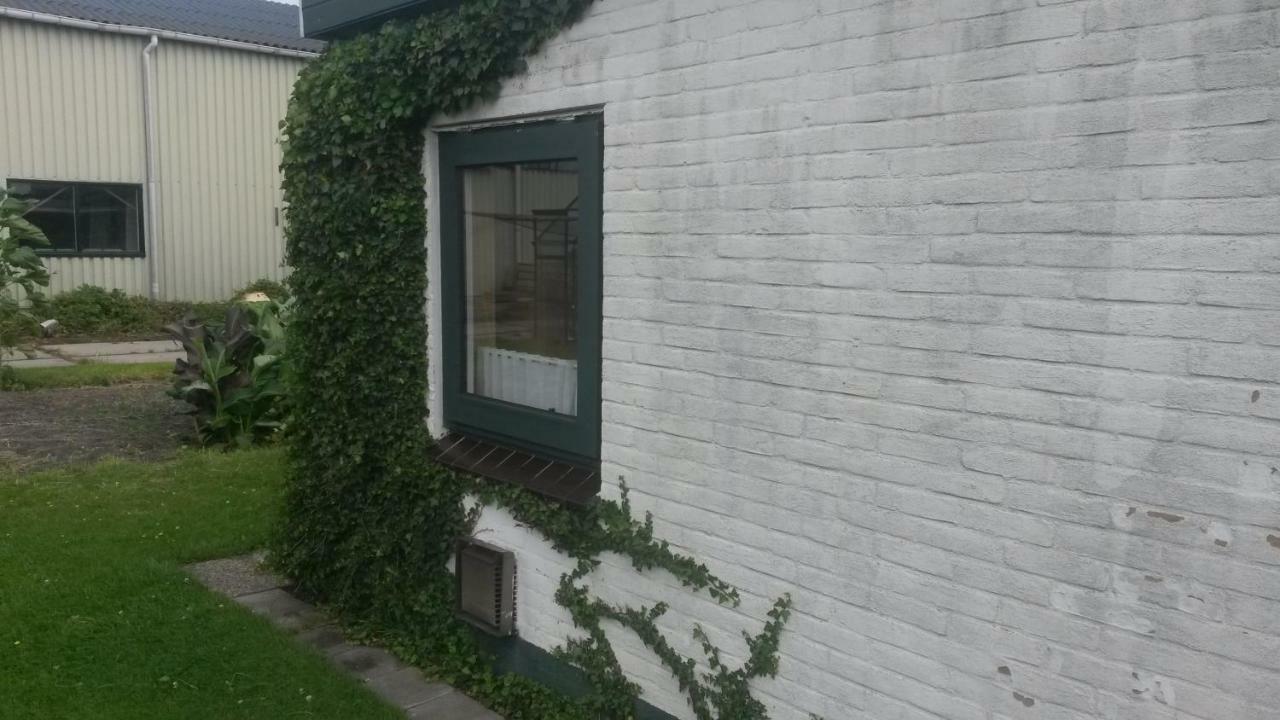 Studio Apartment Wimmenum Екстериор снимка